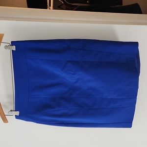 Express Pencil Skirt Size 6 in Blue